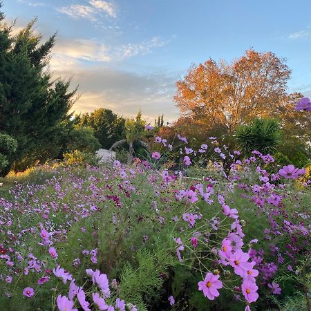 Melbourne Garden Bed And Breakfast Melton Exterior foto