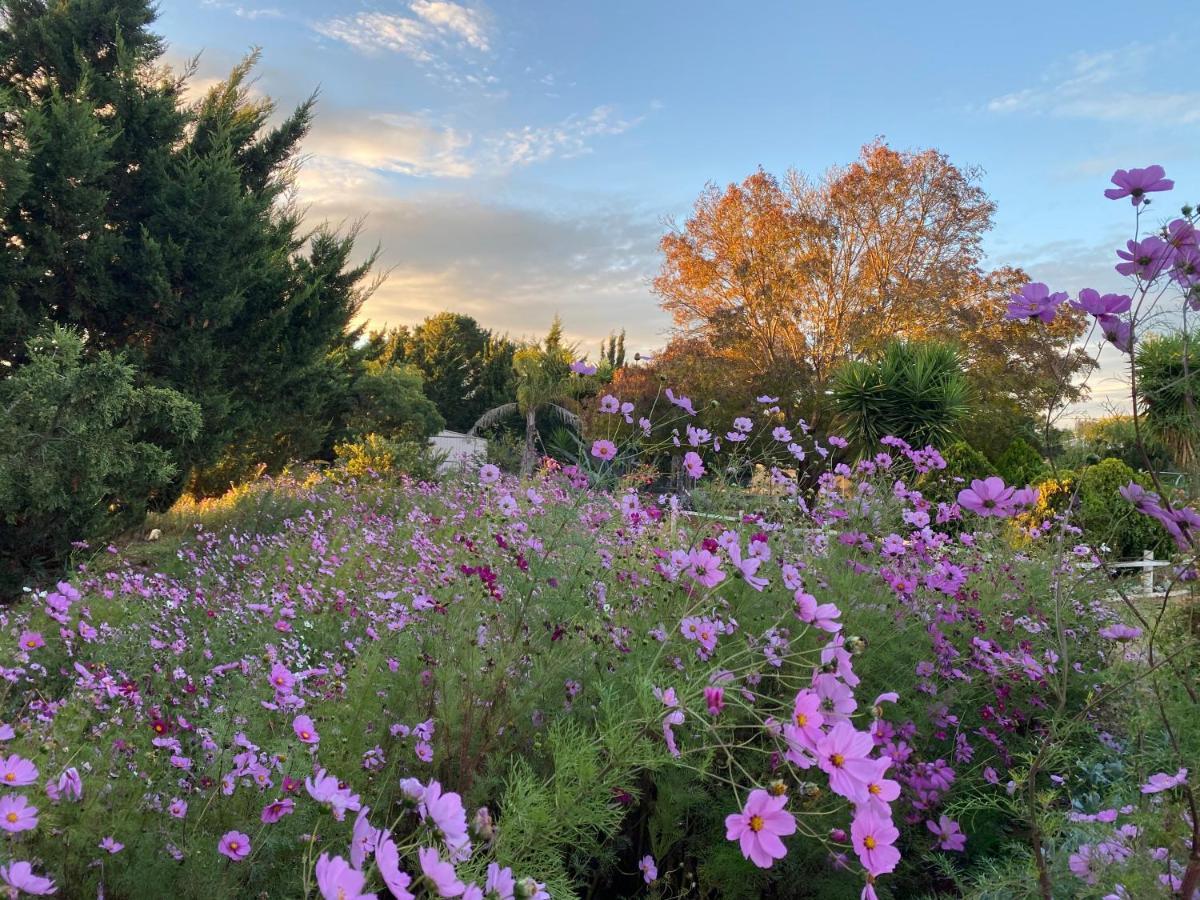 Melbourne Garden Bed And Breakfast Melton Exterior foto